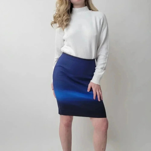 Ann Taylor LOFT Ombre Pencil Skirt - 4P - Picture 1 of 5